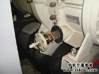 中央香蕉视频下载地址三级黄色香蕉视频更换油过滤芯